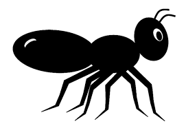 مورچه سیاه کوچولو ( بر اساس ضرب المثلِ : مور گرد آورد به تابستان تا فراغت بود زمستانش)